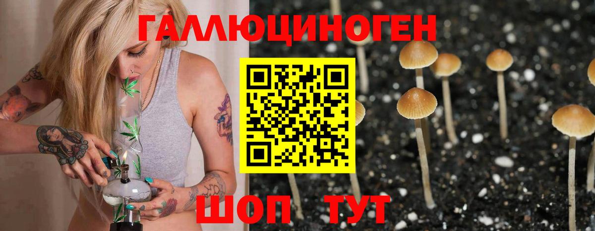 Кировск  Галлюциногенные грибы Cubensis  Вход с VPN  Псилоцибиновые грибы прущие грибы 